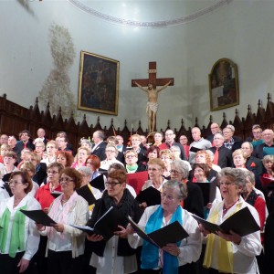 2015 concert à Ste Cécile les vignes (84)